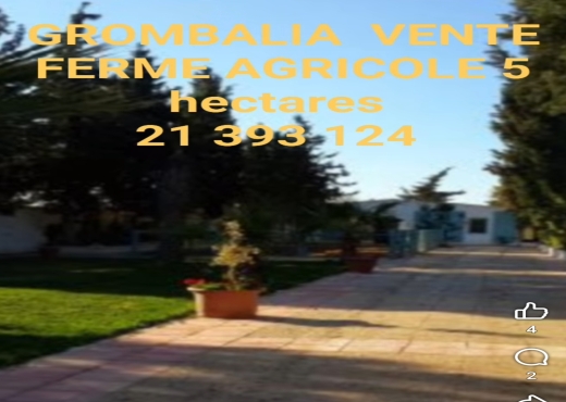 A Vendre Ferme Grombalia