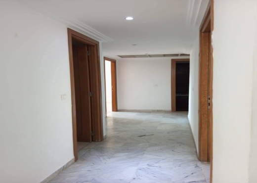A Vendre appartement S+3 Lac2 - image 3