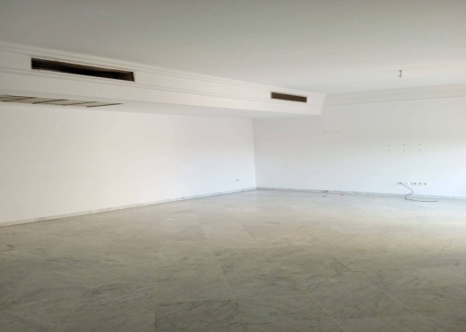 A Vendre appartement S+3 Lac2 - image 2
