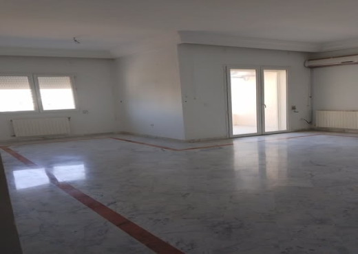 appartement S+3 spacieux