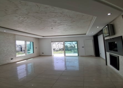 un très bel appartement spacieux de type S+3