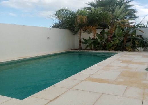 À VENDRE – TRIPLEX AVEC PISCINE ET JARDIN - image 3