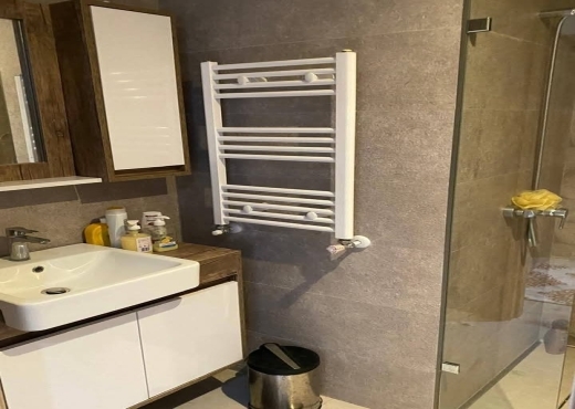 LES BERGES DU LAC - image 2