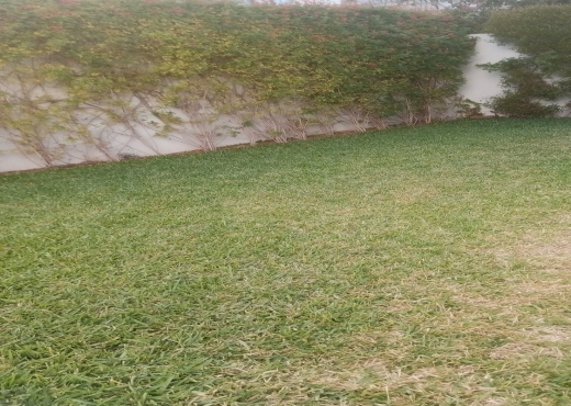 À VENDRE – TRIPLEX AVEC PISCINE ET JARDIN - image 4